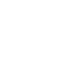 UEFA Champions League